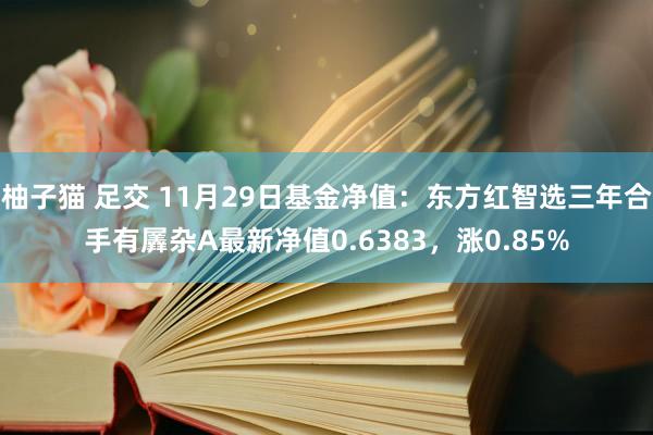 柚子猫 足交 11月29日基金净值：东方红智选三年合手有羼杂A最新净值0.6383，涨0.85%