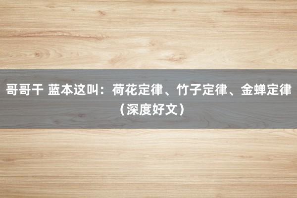 哥哥干 蓝本这叫：荷花定律、竹子定律、金蝉定律（深度好文）