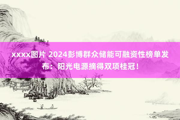 xxxx图片 2024彭博群众储能可融资性榜单发布：阳光电源摘得双项桂冠！