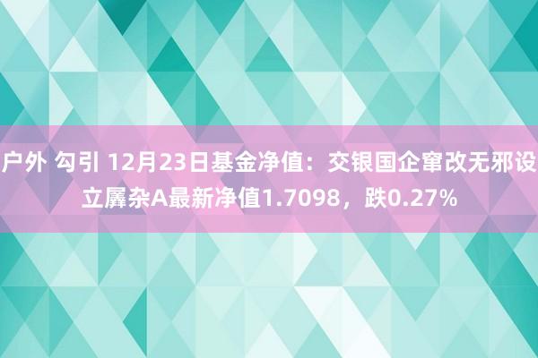 户外 勾引 12月23日基金净值：交银国企窜改无邪设立羼杂A最新净值1.7098，跌0.27%