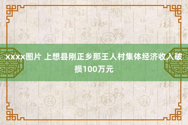 xxxx图片 上想县刚正乡那王人村集体经济收入破损100万元