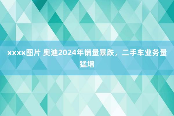 xxxx图片 奥迪2024年销量暴跌，二手车业务量猛增