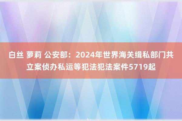 白丝 萝莉 公安部：2024年世界海关缉私部门共立案侦办私运等犯法犯法案件5719起