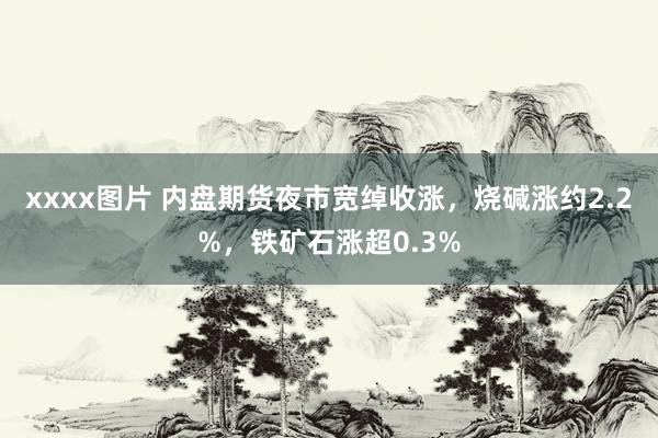 xxxx图片 内盘期货夜市宽绰收涨，烧碱涨约2.2%，铁矿石涨超0.3%