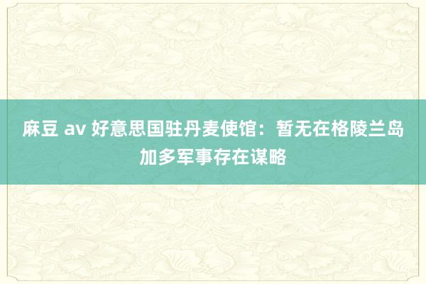 麻豆 av 好意思国驻丹麦使馆：暂无在格陵兰岛加多军事存在谋略