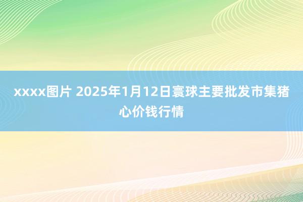 xxxx图片 2025年1月12日寰球主要批发市集猪心价钱行情