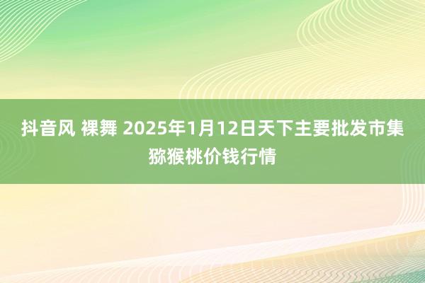 抖音风 裸舞 2025年1月12日天下主要批发市集猕猴桃价钱行情