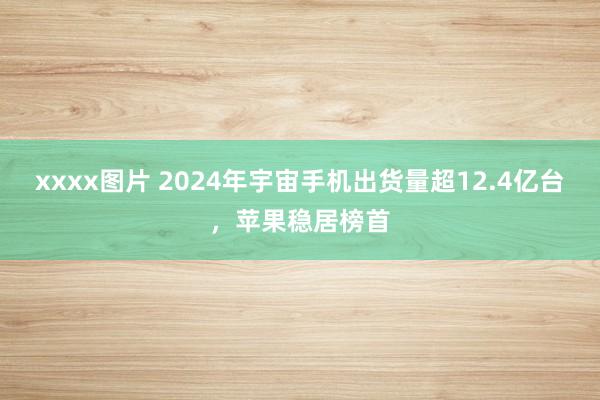 xxxx图片 2024年宇宙手机出货量超12.4亿台，苹果稳居榜首