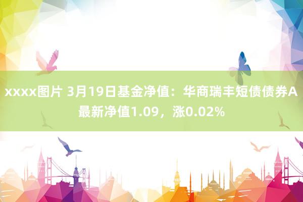 xxxx图片 3月19日基金净值：华商瑞丰短债债券A最新净值1.09，涨0.02%