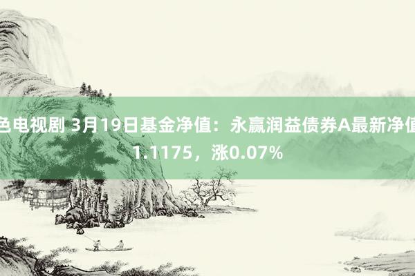 色电视剧 3月19日基金净值：永赢润益债券A最新净值1.1175，涨0.07%