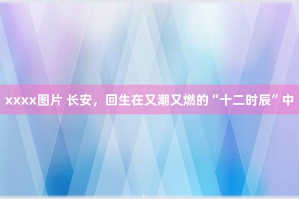 xxxx图片 长安，回生在又潮又燃的“十二时辰”中