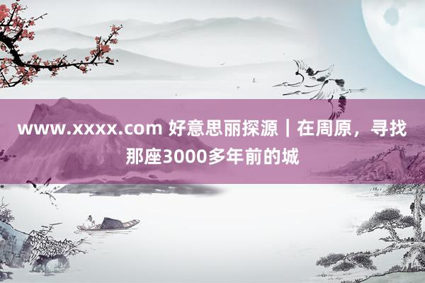 www.xxxx.com 好意思丽探源｜在周原，寻找那座3000多年前的城