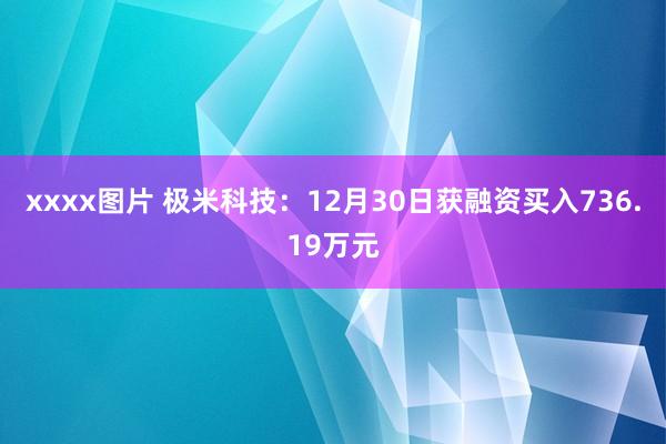 xxxx图片 极米科技：12月30日获融资买入736.19万元