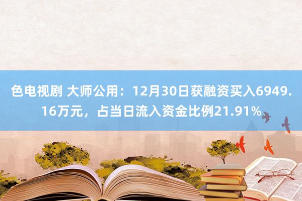 色电视剧 大师公用：12月30日获融资买入6949.16万元，占当日流入资金比例21.91%