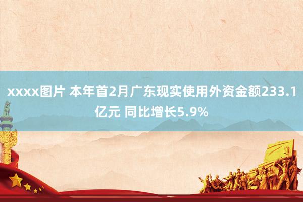 xxxx图片 本年首2月广东现实使用外资金额233.1亿元 同比增长5.9%