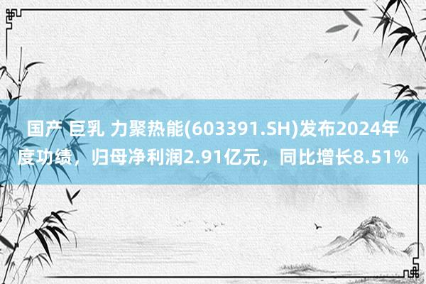 国产 巨乳 力聚热能(603391.SH)发布2024年度功绩，归母净利润2.91亿元，同比增长8.51%