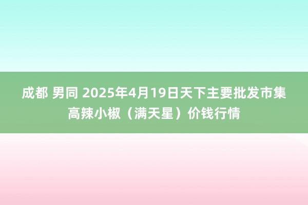 成都 男同 2025年4月19日天下主要批发市集高辣小椒（满天星）价钱行情