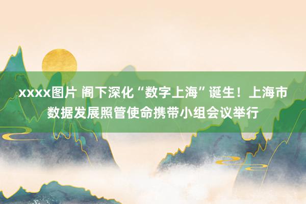 xxxx图片 阁下深化“数字上海”诞生！上海市数据发展照管使命携带小组会议举行